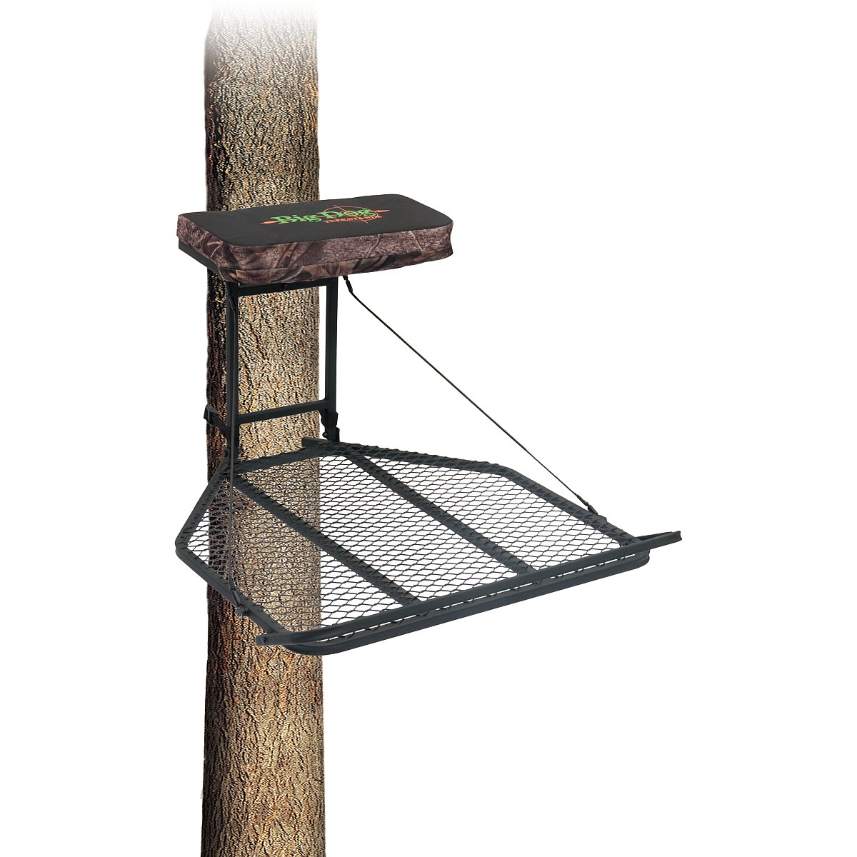 Big Dog Mastiff Stand 9