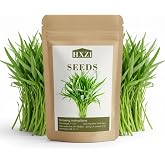 1000 Kangkong Seeds for Planting &ndash; Rau Muong Seeds Vietnam Variety &ndash; Kong Xin CAI Ong Choy Asian Vegetable for Filipino &amp; Vietnamese Garden Growing