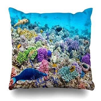 Amazon Com Diycow Throw Pillow Covers World Red Reef Wonderful