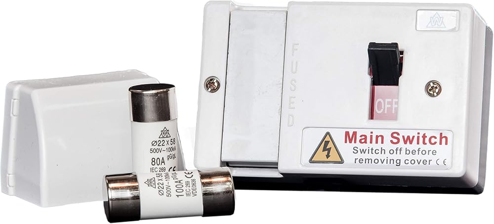 WCED Fused Main Switch 80A & 100A Fuses with Cable Shroud WFIS100