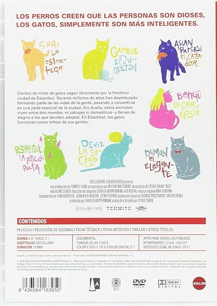 Amazoncom Kedi Gatos De Estambul Non Usa Format