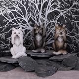 Nemesis Now B4472N9 Three Wise Wolves Resin Figurine 10cm Grey view 5