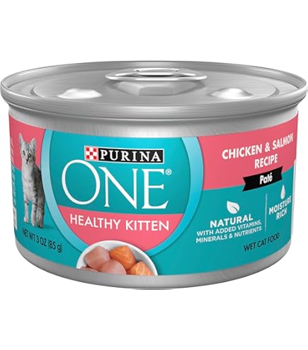 cat automatic feeder wet food Cat Mate C300 3 Meal Automatic Pet Feeder with Digital Timer main image 1