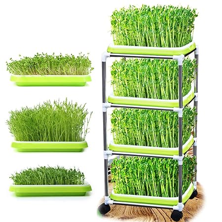Huntfgold Seed Sprouter Tray Keimschale Sprossen mit 4-schichtigem Edelstahl Regal Soil-Free Sämlinge Weizen Grassierer Pflan