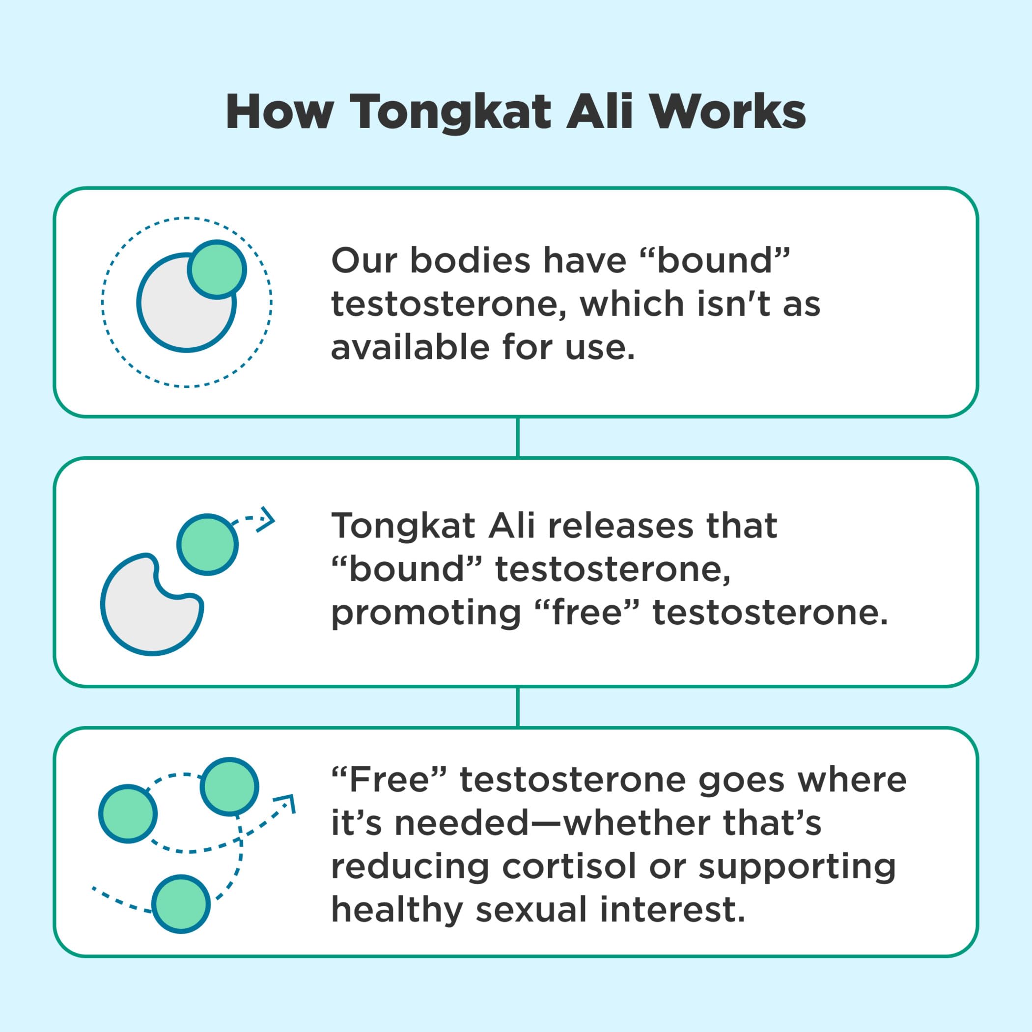 OLLY Mighty Mojo, Tongkat Ali, Resveratrol & Pine Bark, Testosterone with Antioxidant Support, Supplement for Men, 30 Count