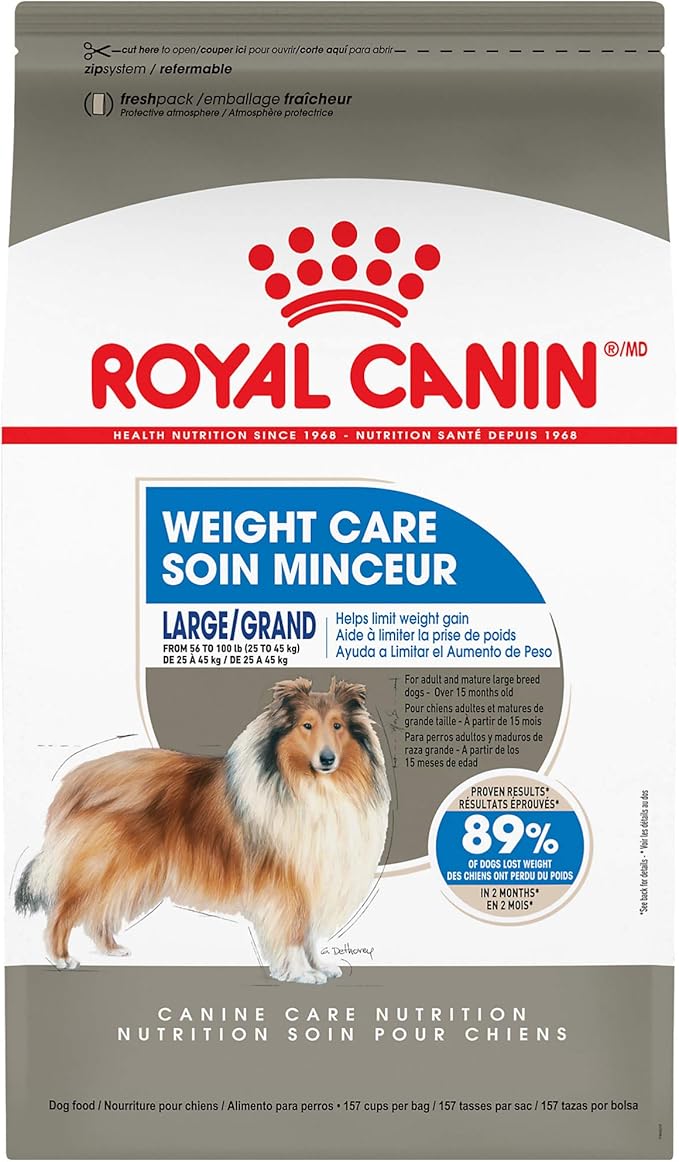 best dog food for shelties