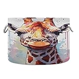 Xigua Large Cotton Rope Storage Basket - Cute