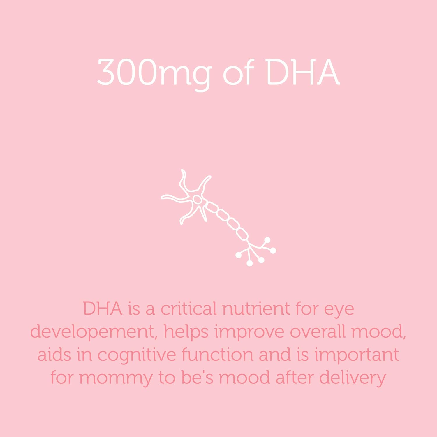 Zahler Prenatal DHA, Premium Prenatal Vitamins for Mother and Child, New and Improved Prenatal with DHA! Certified Kosher, 60 Count: Health & Personal Care