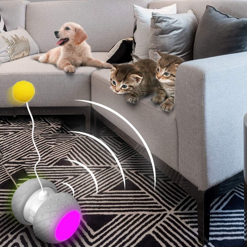 k-berho Cat Toys Interactive, Cat Toys for Indoor with Feather, Ball, Mouse and 2 Color Ribbons, Automatic Cat Toy with Irregular USB Charging 360 Degree Self Rotating Ball : Pet Supplies