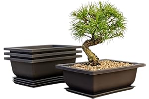 Bonsai Outlet Training Pots with Humidity Trays - Built in Mesh, Six Inch Large Planters + Made from Durable Shatter Proof Poly-Resin, Set of 3 Pot Set…