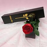 Yamonic Preserved Real Red Rose Gift for Women, Eternal Flower view 2