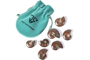 JUSTINSTONES 100 Grams Rainbow Opalized Ammonite Fossil Jewelry Making Rock Collection Madagascar