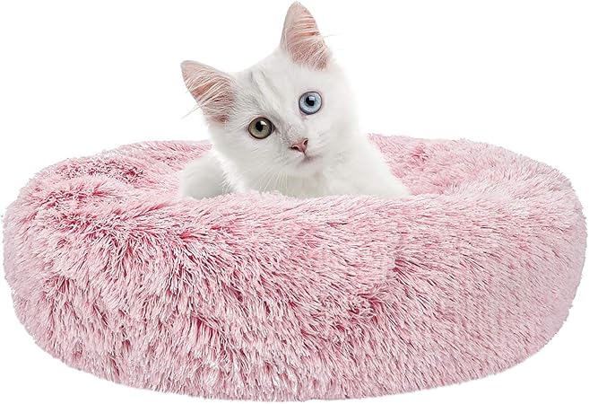 pink orthopedic dog bed