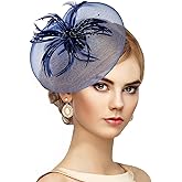 Zinniday Heart Mesh Tea Party Hats - Feather Derby Fascinators 2026 Kentucky Hat with Hair Clip for Women Wedding
