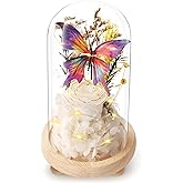 Forever Flowers Preserved Roses Prime Delivery, Romantic Gifts with Light in Glass Dome for Mom Grandma Wife Girlfriend, White Flower for Christmas, Valentine's Day,.Anniversary, Birthday