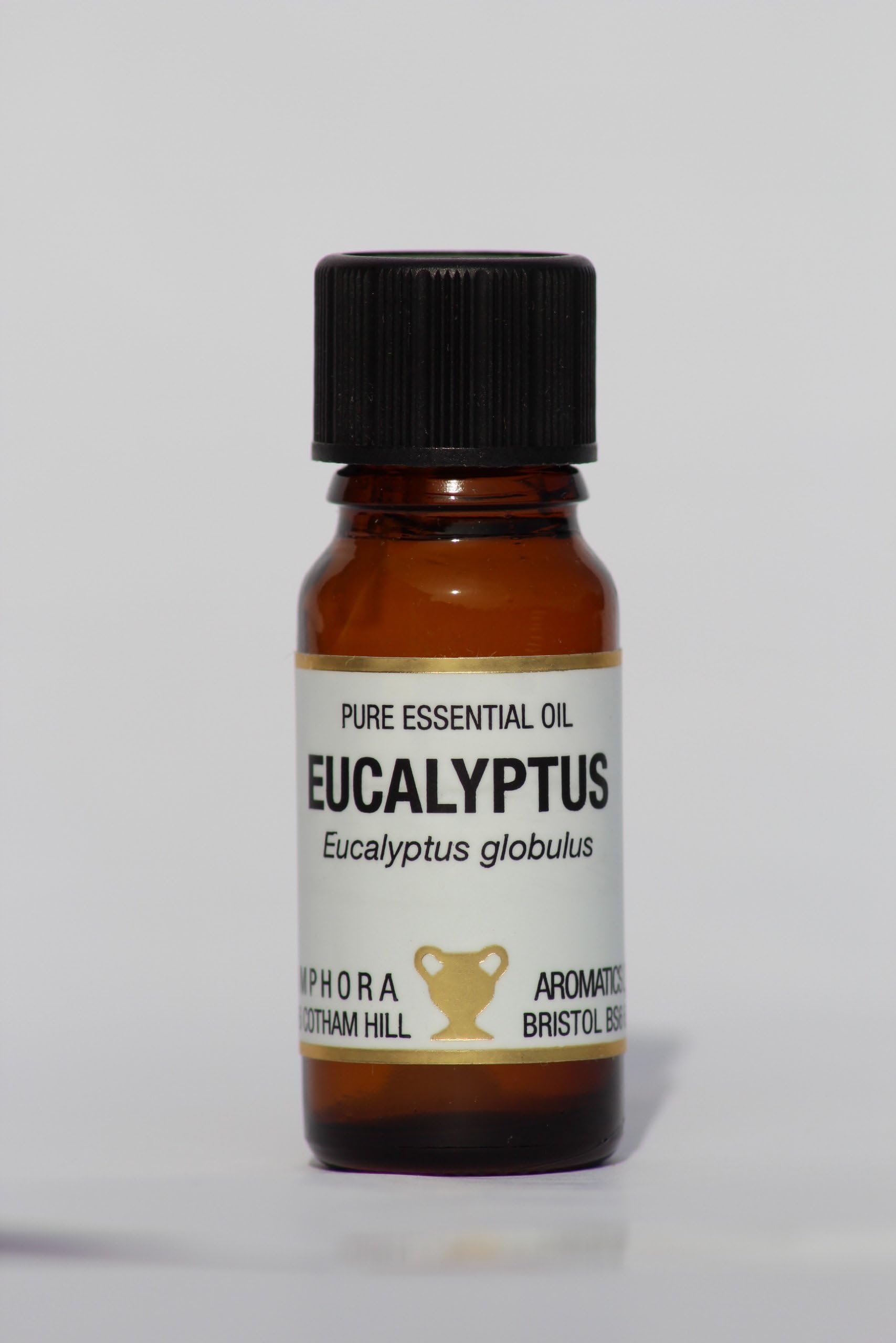 Amphora AromaticsEucalyptus Essential Oil 10ml