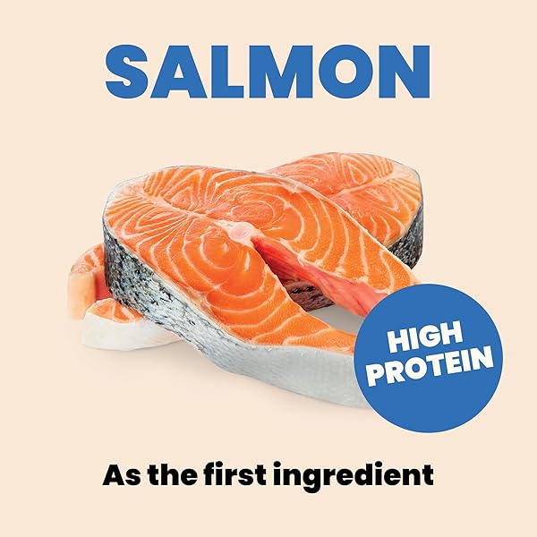 ALMO NATURE HQS COMPLETE CAT WET CAT FOOD SALMON RECIPE WITH APPLE IN GRAVY – GRAIN-FREE CAT FOOD CANNED, 2.47 OZ (PACK OF 12)