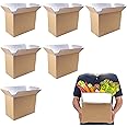 6 Pack Insulated Shipping Box for Shipping Frozen Food Cold Shipping Boxes Large Foil Cooler Carton Moving Kits for Mailing Packing (Box Size 11 x 6.1 x 7.1 Inch)
