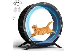 GTPLAYER Cat Wheels, Large Cat Exercise Wheel for Indoor Cats, 40"Diameter cat treadmill Detachable Carpet & Teaser, stickers, Ultra-quiet scroll wheel With latch, Suitable for Most Cats, Metal, Black