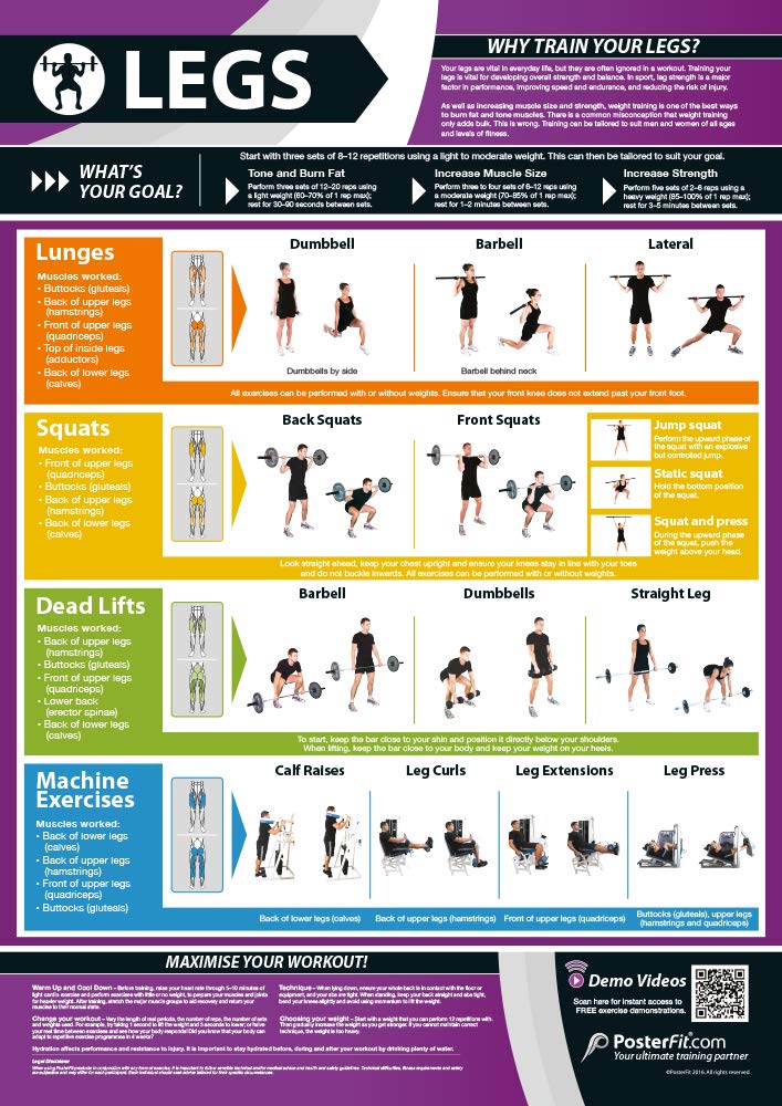 Legs Exercise | Full Legs Workout | Improves Strength Training | Laminated Gym and Home Poster | Includes Online Video Training Support | Size - 594mm x 420mm (A2) | Improves Personal Fitness