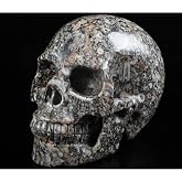 Skullis 5.0