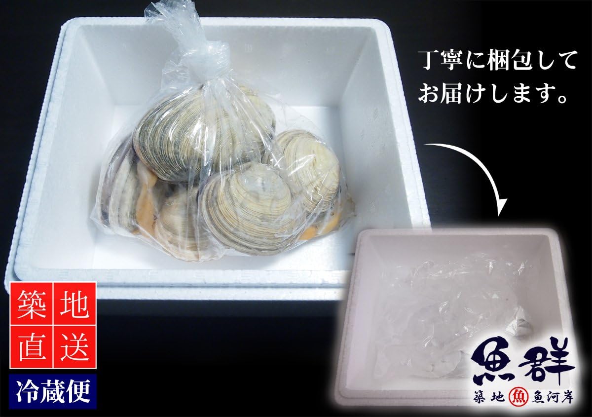 Amazon 築地魚群 活大アサリ ウチムラサキ貝 国産 1kg 築地魚群 鮮魚 通販