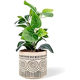 Chonsun Ceramic Planter 4 Inch Plant Pots Indoor Outdoor Succulent Plant Pot Flower Pots Mid-Century Planter Ceramic Pot