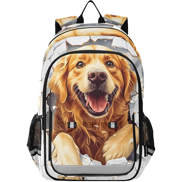 CaomeiWu Golden Retriever Kids Backpack - 16 Inch School Bookbag For Boys & Girls, Lightweight & Durable