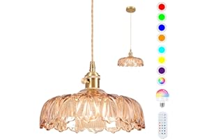 LOIOGOHOT Battery Operated Pendant Light,Vintage Light Fixtures 2500mAh 9.4in RGB Light Bulb Amber Modern Chandelier with Remote Control Wireless Adjustable Rechargeable Chandelier for Kitchen Island 1Light
