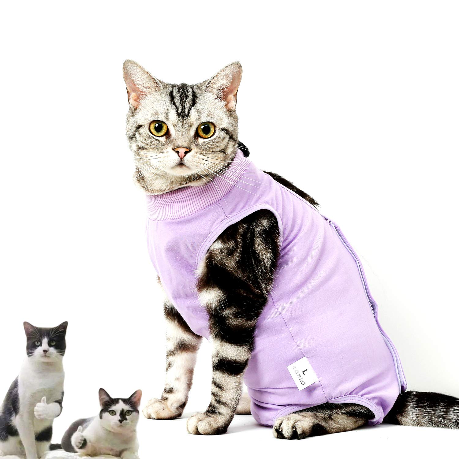 CandyCare Cat Recovery Suit Recovery Suit Pet Protective Clothing After Op Sterilisation Weaning Anti-Leak Collar Alternative Elastic Skin-friendly Breathable with Small Bell(Purple,M)