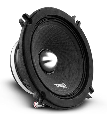 Amazon.com: DS18 ZXI-5254 5.25