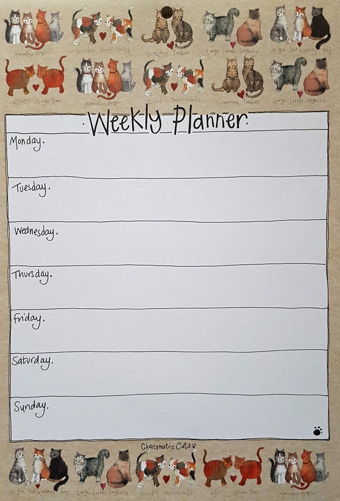 ALEX CLARK Charismatic Cats Weekly Planner - Weekly Meal Planner - To Do List for Work, Students and Daily Life - Men & Women