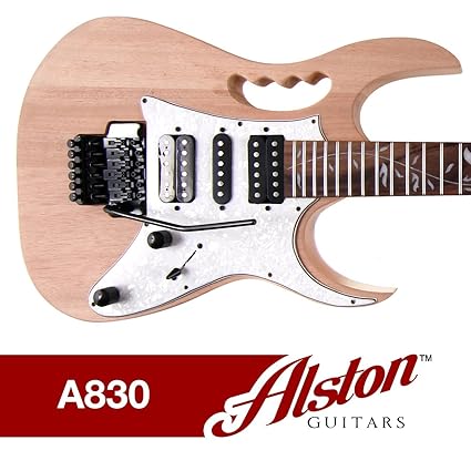 Amazon.com: Alston Guitars - DIY Electric Guitar Kit | Bolt-On ...