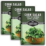 Corn Salad Verte de Cambrai Seeds for Planting - 3