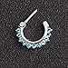 Brass Septum Clicker, Kredy 16G Horseshoe Circular Barbell Septum Jewelry Ring Nose Rings Daith Septum Clicker Jewelry with CZ Gems for Women Girls - 2 PCS Purple / Blue