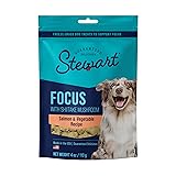 Stewart Freeze Dried Dog Treats, Salmon