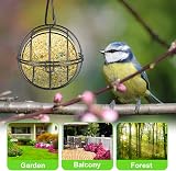 OFFCUP Fat Ball Bird Feeder 4pc Metal Holder S Hooks Outdoor Garden Black view 7