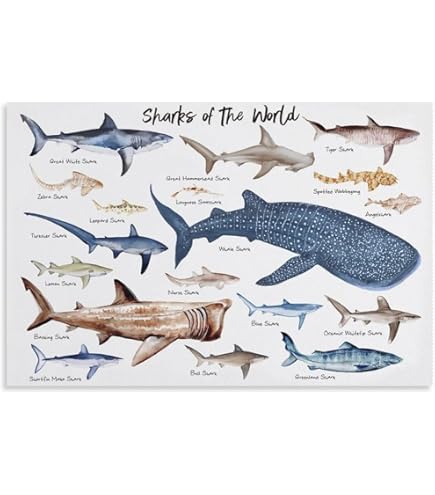 Amazon.com: EuroGraphics Dangerous Sharks Poster, 36 x 24 in Beige