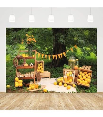 Kate 2.2 X 1.5 M (7 X 5 Ft) Lemonade Background Photography - View #11