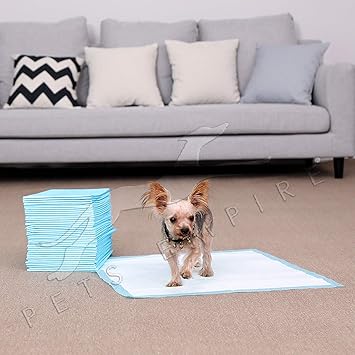 Pets Empire Super Absorbent Puppy Training Pee Pads for Dog and Cat (Small, 60 X 45 cm)-Pack of 50