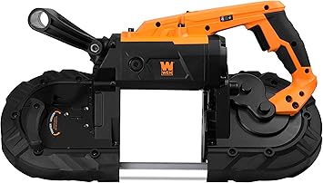 https://images-na.ssl-images-amazon.com/images/I/71xTmh8%2BheL._AC_SX355_.jpg