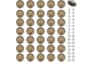 PH PandaHall 40 Sets Screw Back Buttons 15mm Auspicious Clouds Screw Rivet Buckles Round Conchos Back Antique Bronze Chinese 