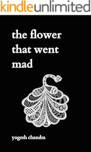 kindle best category lists