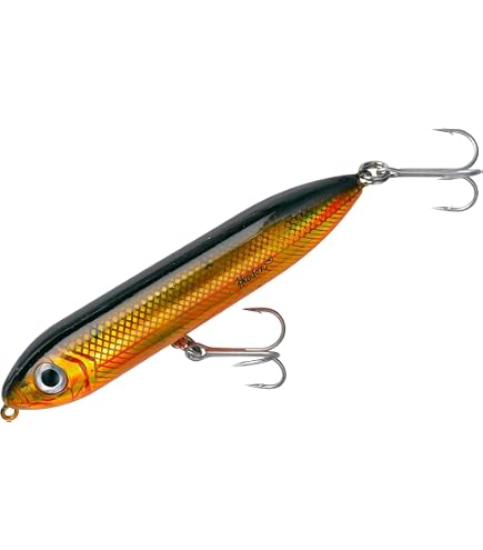 Amazon.com: Heddon Super Spook Topwater Fishing Lure for Saltwater