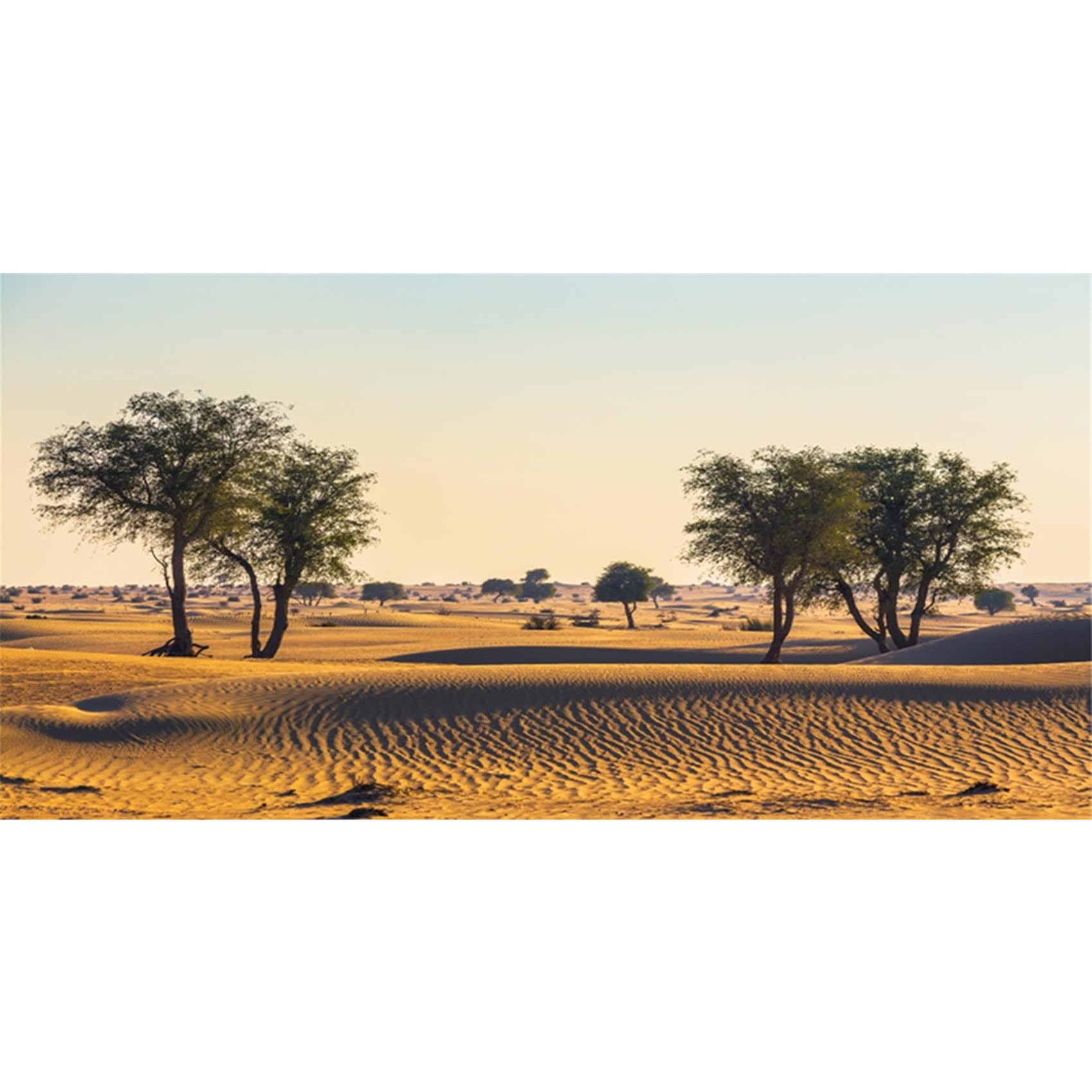 MIRRORANG 76x30cm Terrarium Background Gobi Oasis Rocky Trees Desert Reptile Habitat Background Durable Vinyl Background