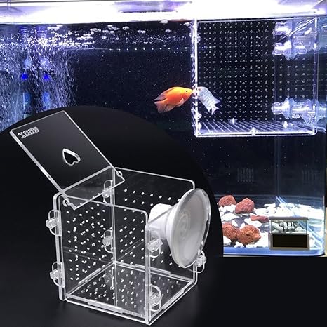 Ogquaton Aquariophilie Boite D Isolation Pour Aquarium Incubateur De Poisson Pour Bebe Poisson Durable Et Pratique Amazon Fr Animalerie