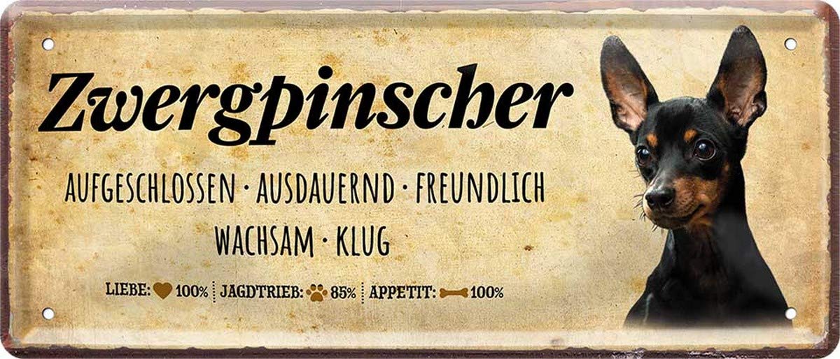 N / A Dwarf Pinscher Letter Dog 28 x 12 cm Decorative Tin Sign Tin 1634