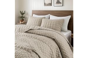 WDCOZY Beige Quilt Queen Size Bedding Sets with Pillow Shams, Lightweight Soft Bedspread Coverlet, Quilted Blanket Thin Comforter Bed Cover, All Season Summer Spring, Tan Cream, 3 Pieces, 90x90 inches