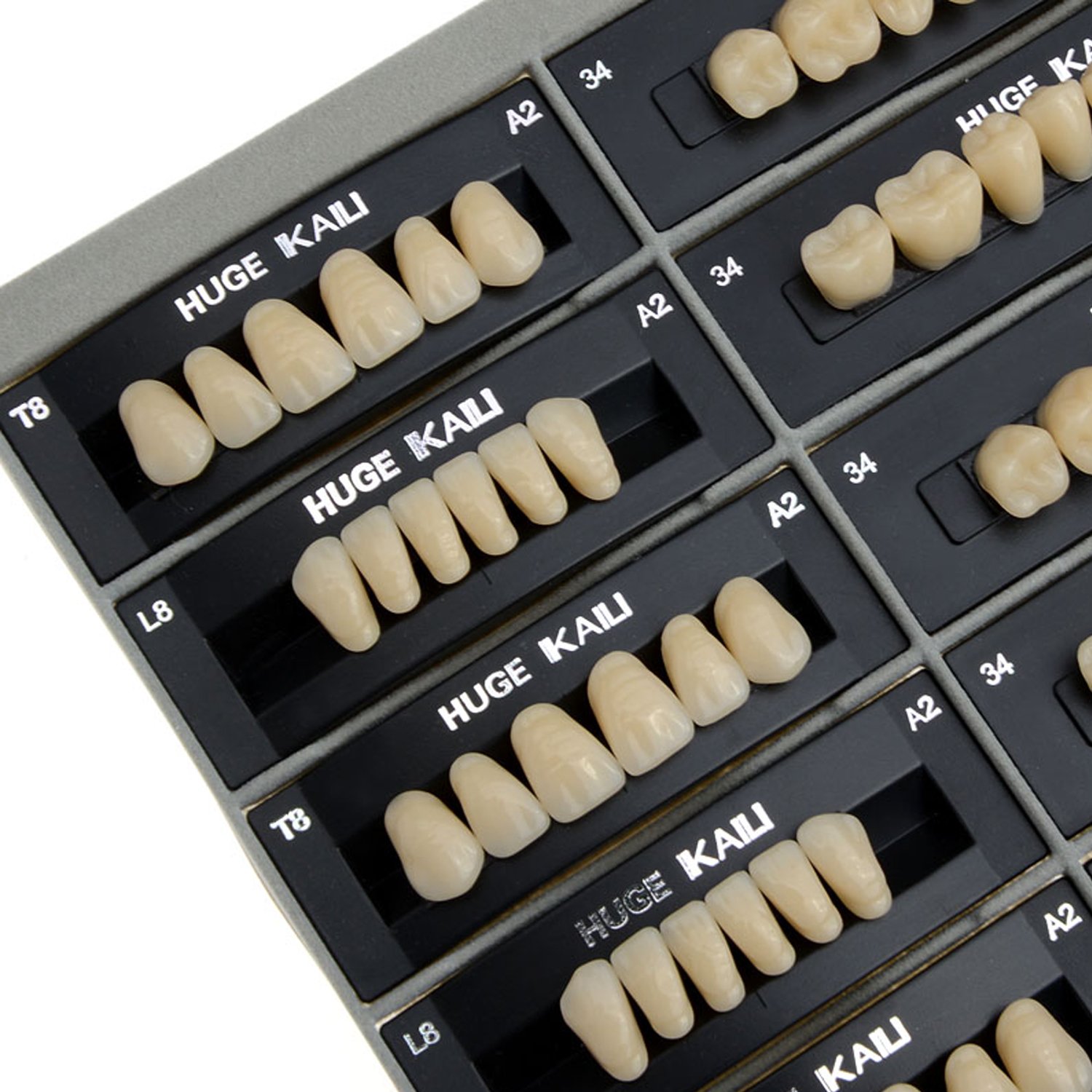 AZDENT Dental Synthetic Resin Tooth Denture T8-A2(28 units/4 suits) : Beauty