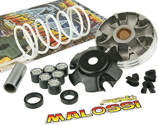 VARIATORE MALOSSI 519019 MULTIVAR 2000 IN ACCIAIO - Foto 4